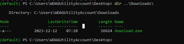 The file is in the Downloads directory