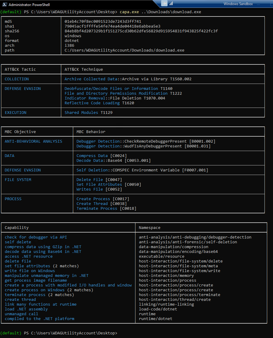 Output from capa.exe